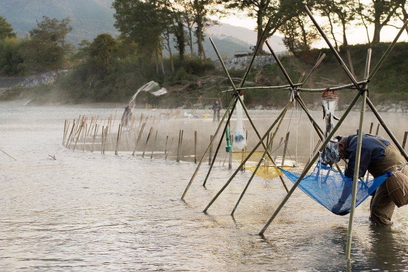瀬張り網漁(肱川、愛媛県大洲市)イメージ１