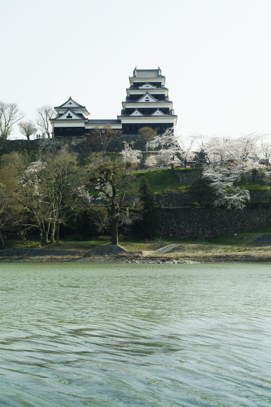 大洲城(桜・菜の花、愛媛県大洲市)イメージ１