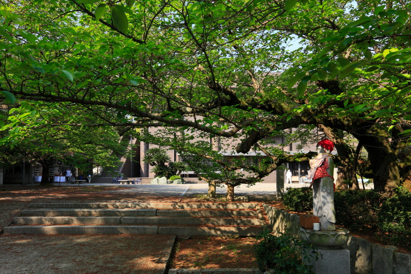 61番香園寺(愛媛県西条市)イメージ１