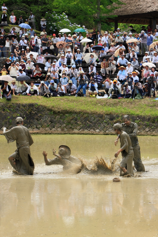 どろんこ祭り (畦豆植え、愛媛県西予市城川)イメージ１
