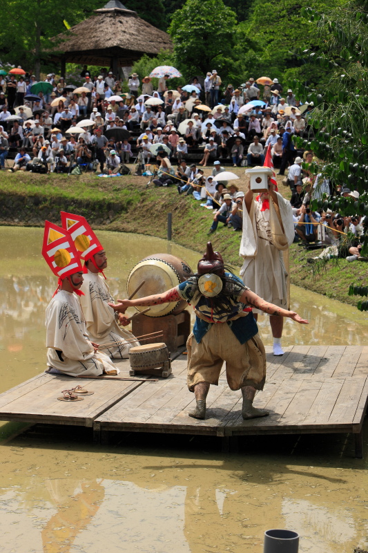 どろんこ祭り (さんばい降ろし、愛媛県西予市城川)イメージ１
