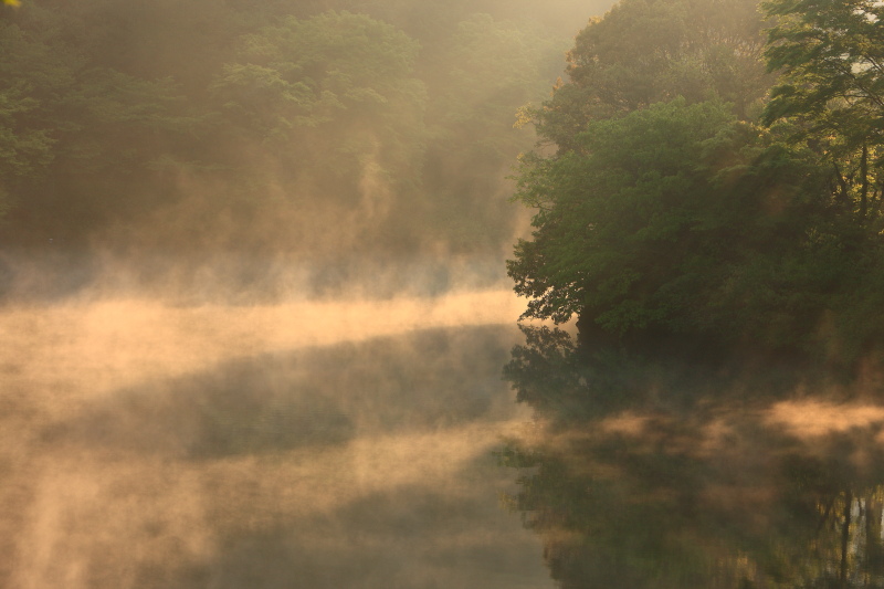 関地池の朝霧(愛媛県西予市)イメージ１