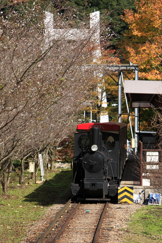 マイントピア別子(鉱山鉄道、愛媛県新居浜市)イメージ１