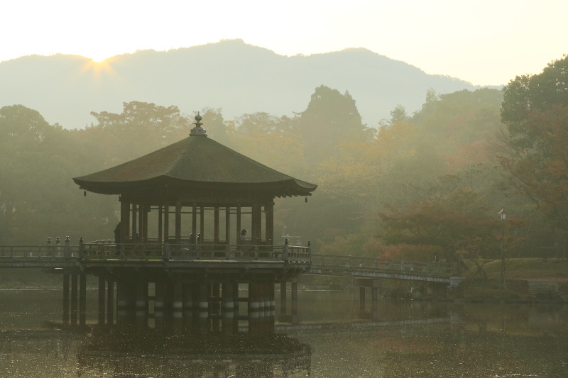 奈良公園 鷺池(奈良県奈良市)イメージ１