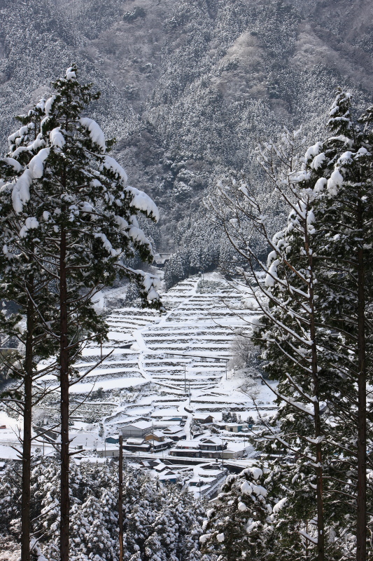 雪の棚田(愛媛県東温市)イメージ１