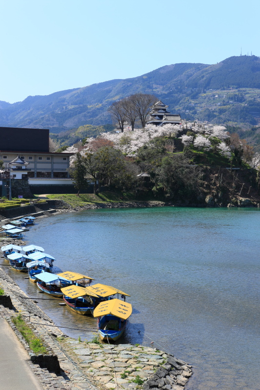 大洲城と桜(愛媛県大洲市)イメージ１