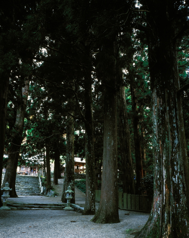 12番 焼山寺(徳島県神山町)イメージ１