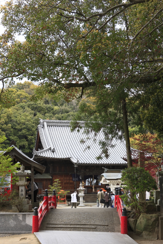 3番 金泉寺 (徳島県板野町)イメージ１
