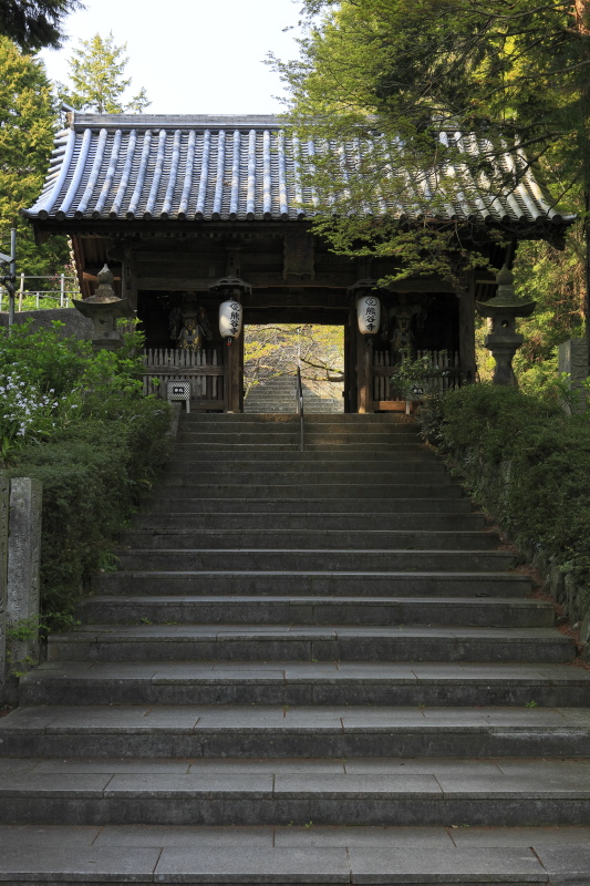 8番 熊谷寺 (徳島県阿波市)イメージ１