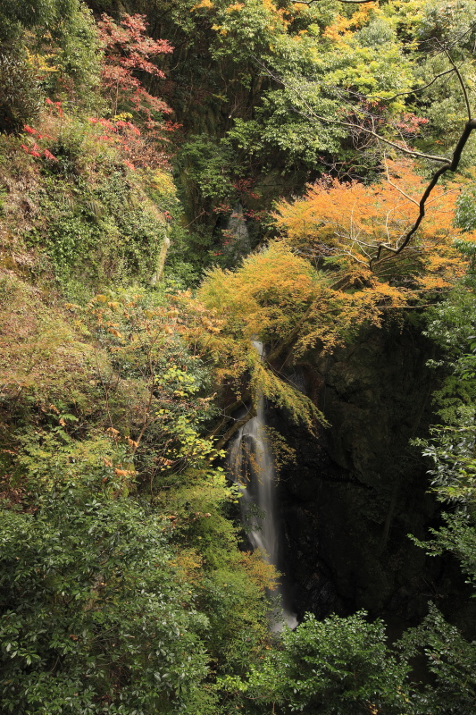 三杯谷の滝_秋(愛媛県大洲市)イメージ１