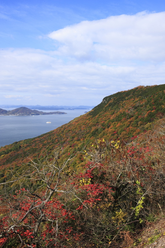 屋島から瀬戸内海の眺め_秋(香川県高松市)イメージ１