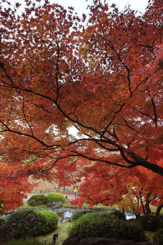栗林公園_秋(香川県高松市)イメージ１