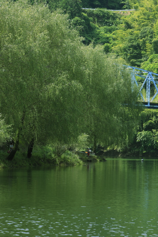湖畔の柳と釣り人_春(愛媛県西予市)イメージ１