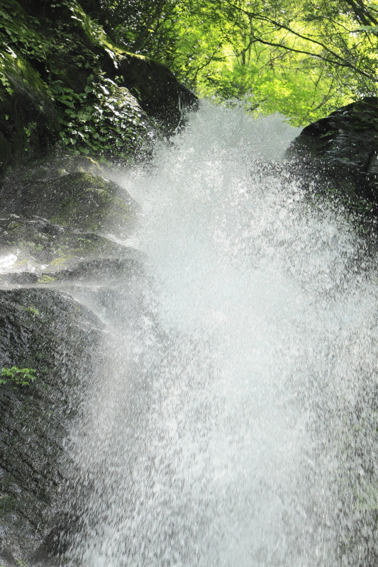 白糸の滝_春(愛媛県東温市)イメージ１